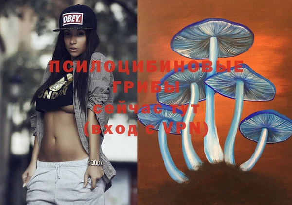 эйфоретик Арсеньев